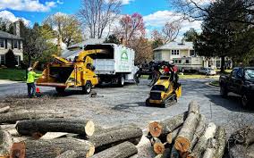 Best Firewood Processing and Delivery  in Dooms, VA